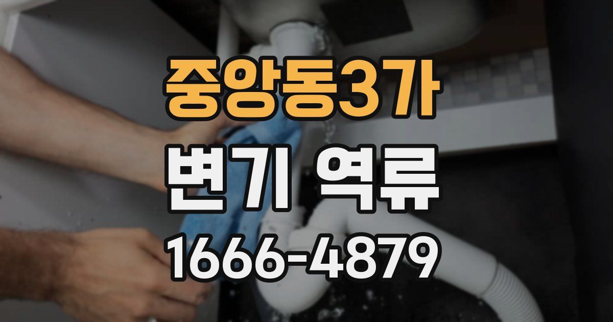 중앙동3가 변기 역류