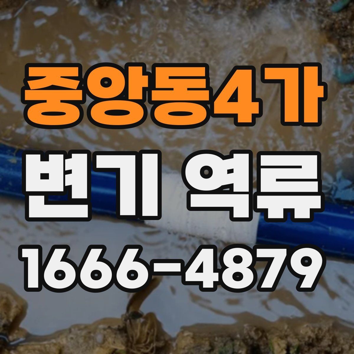 중앙동4가 변기 역류 원인별 확인 포인트