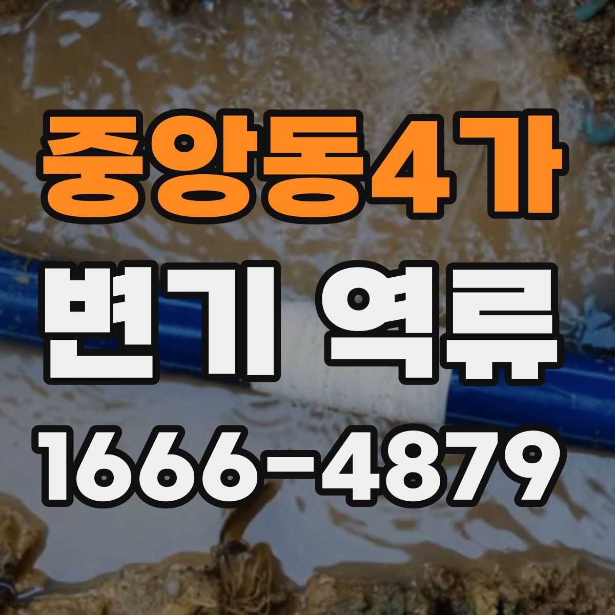 중앙동4가 변기 역류