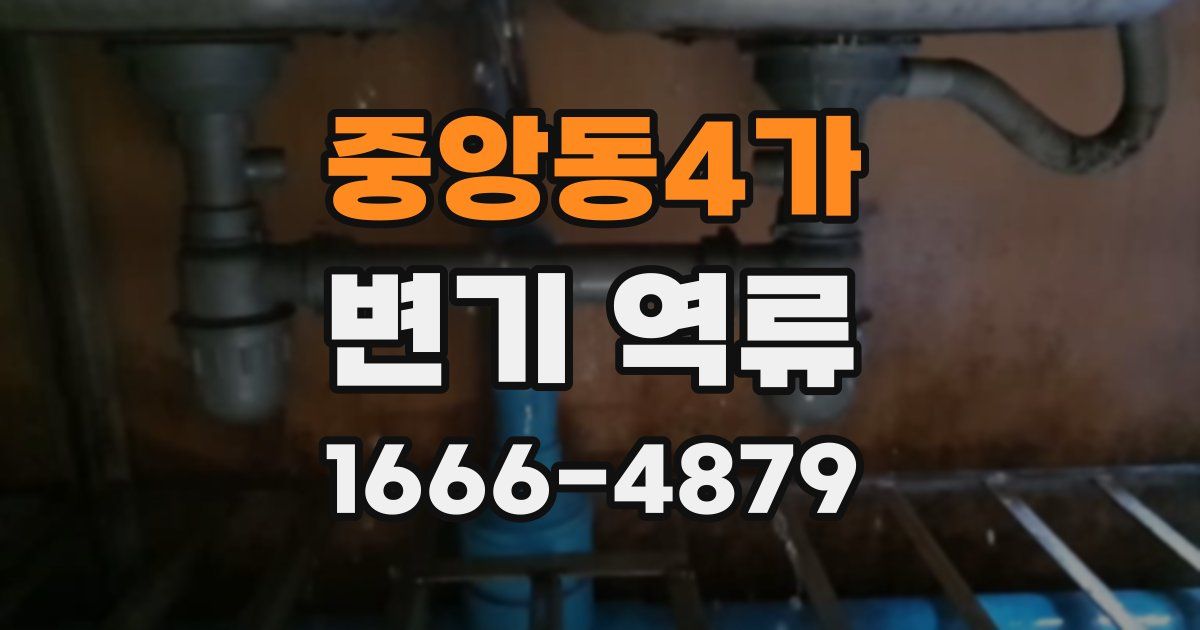중앙동4가 변기 역류