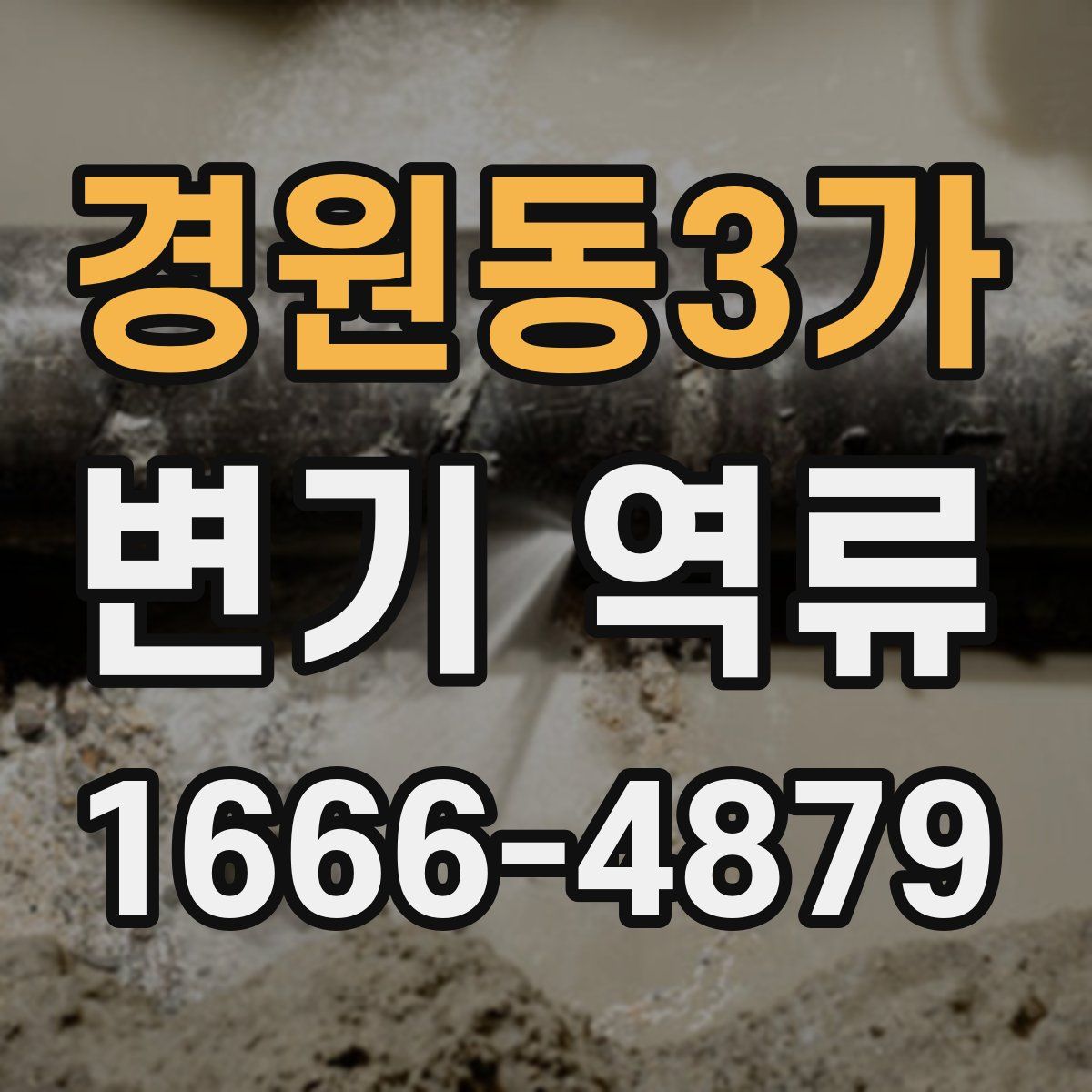 경원동3가 변기 역류