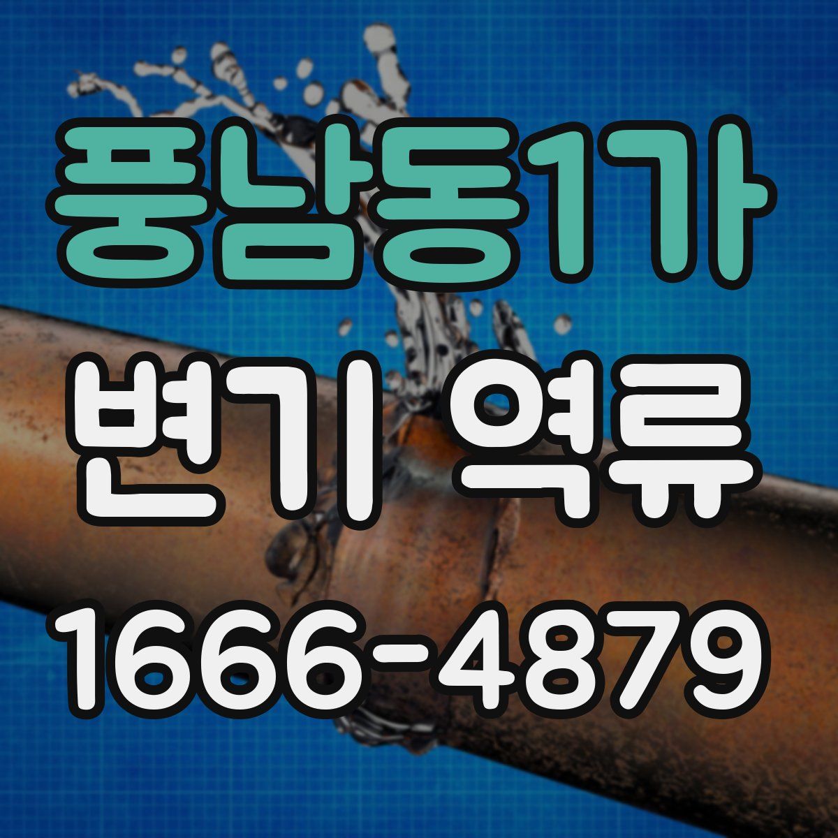 풍남동1가 변기 역류