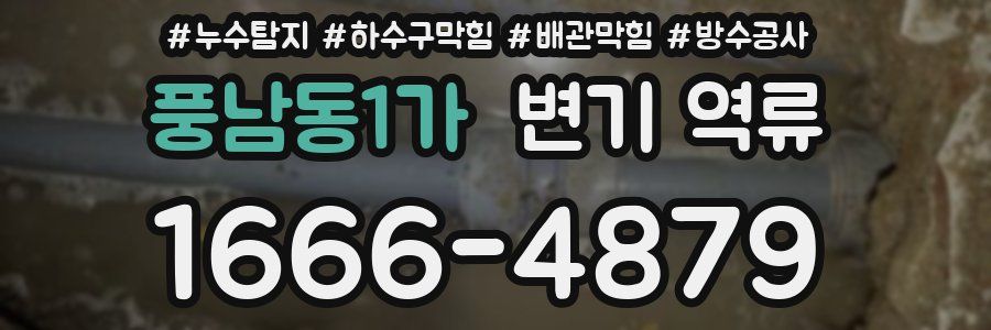풍남동1가 변기 역류