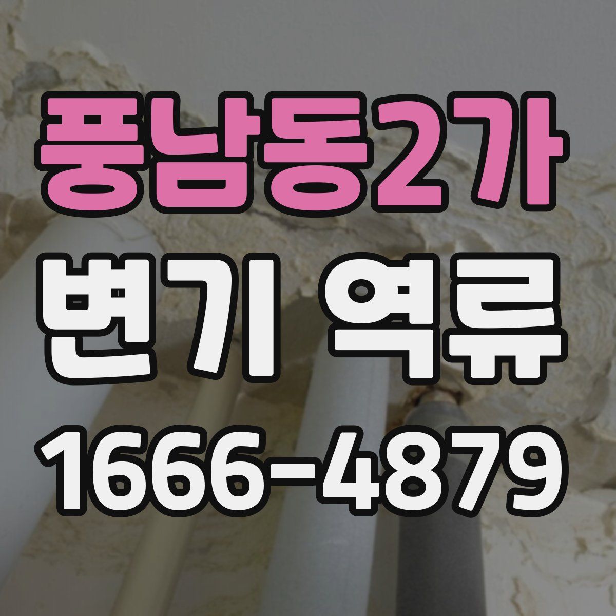 풍남동2가 변기 역류