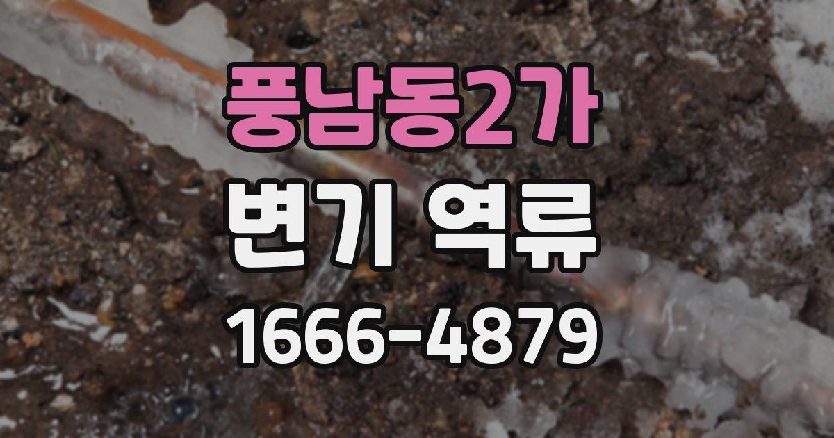 풍남동2가 변기 역류
