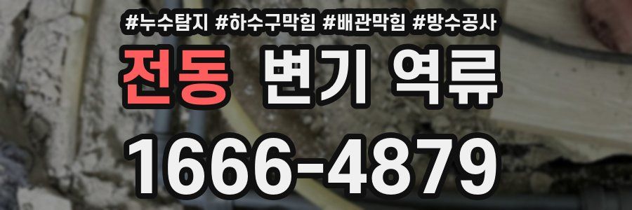 전동 변기 역류