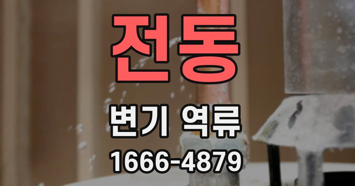 전동 변기 역류