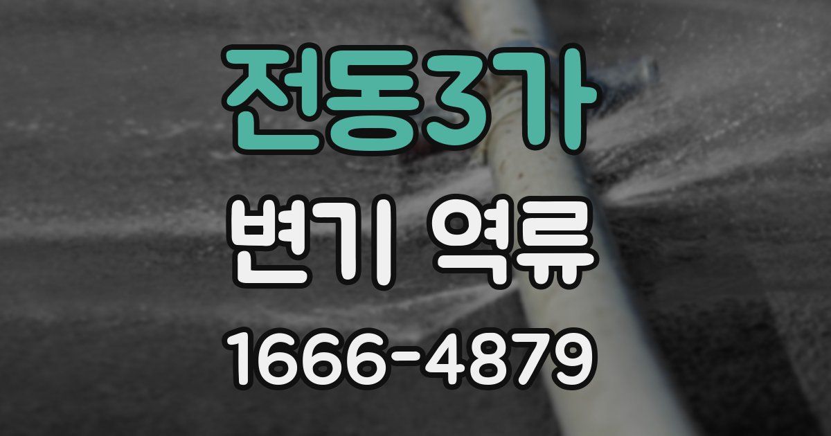 전동3가 변기 역류