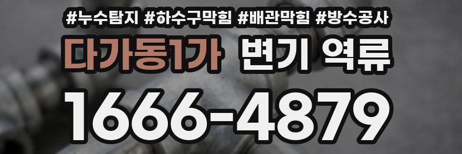 다가동1가 변기 역류