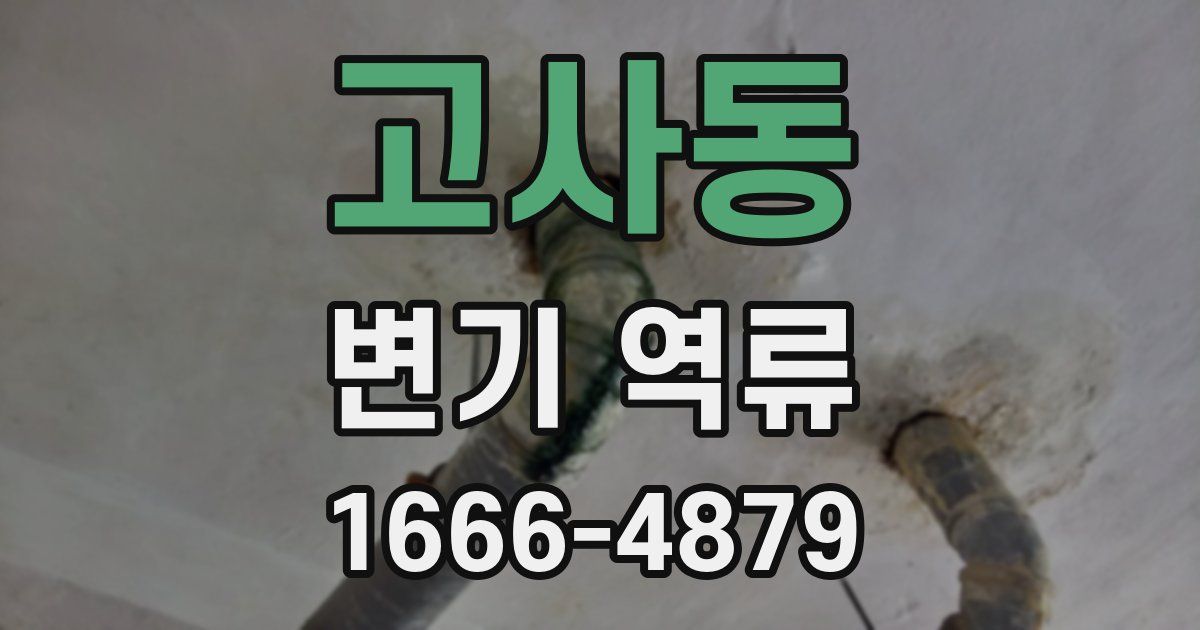 고사동 변기 역류