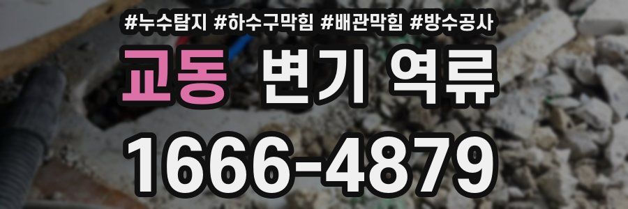 교동 변기 역류