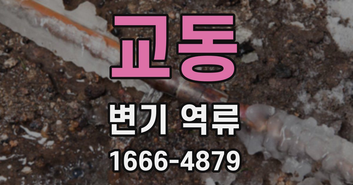 교동 변기 역류