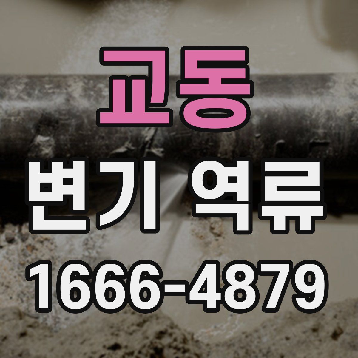 교동 변기 역류