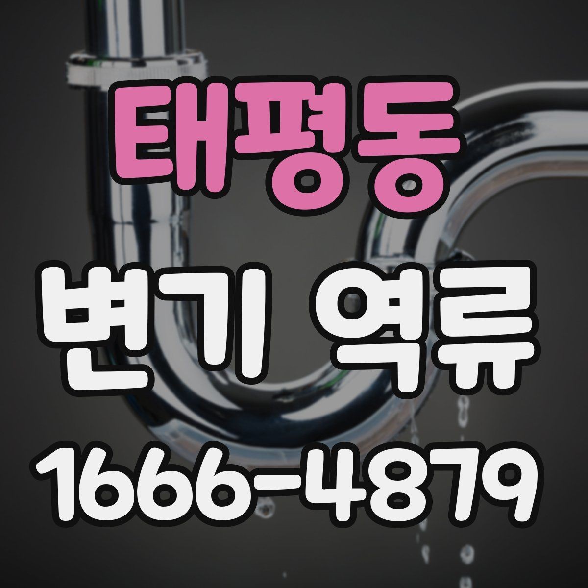 태평동 변기 역류 화장실 배수 문제를 구별하는 기준