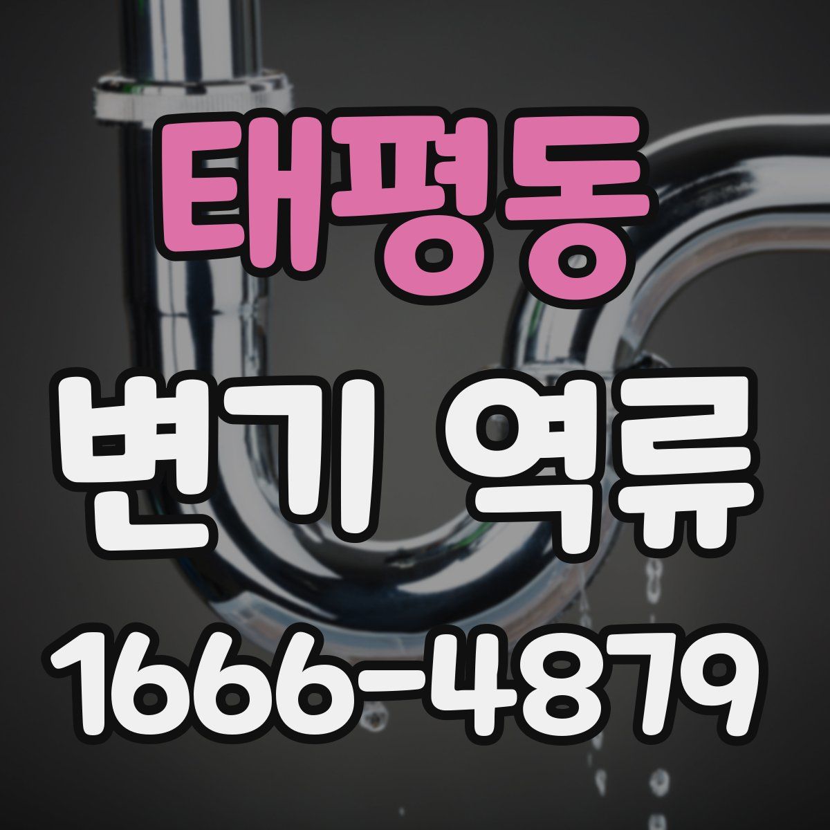 태평동 변기 역류