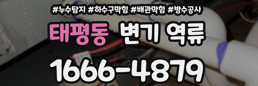 태평동 변기 역류