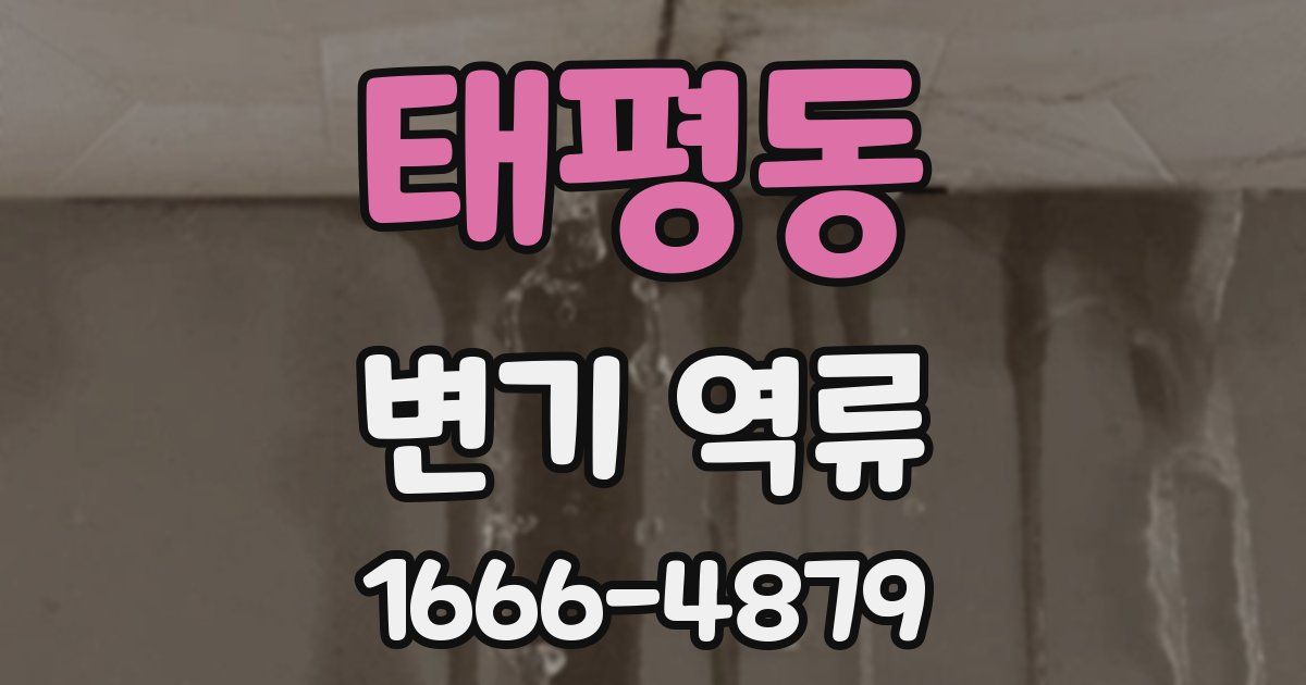 태평동 변기 역류