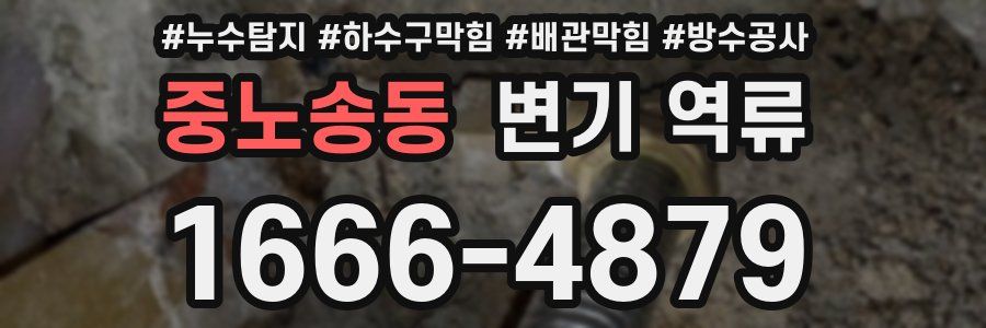 중노송동 변기 역류