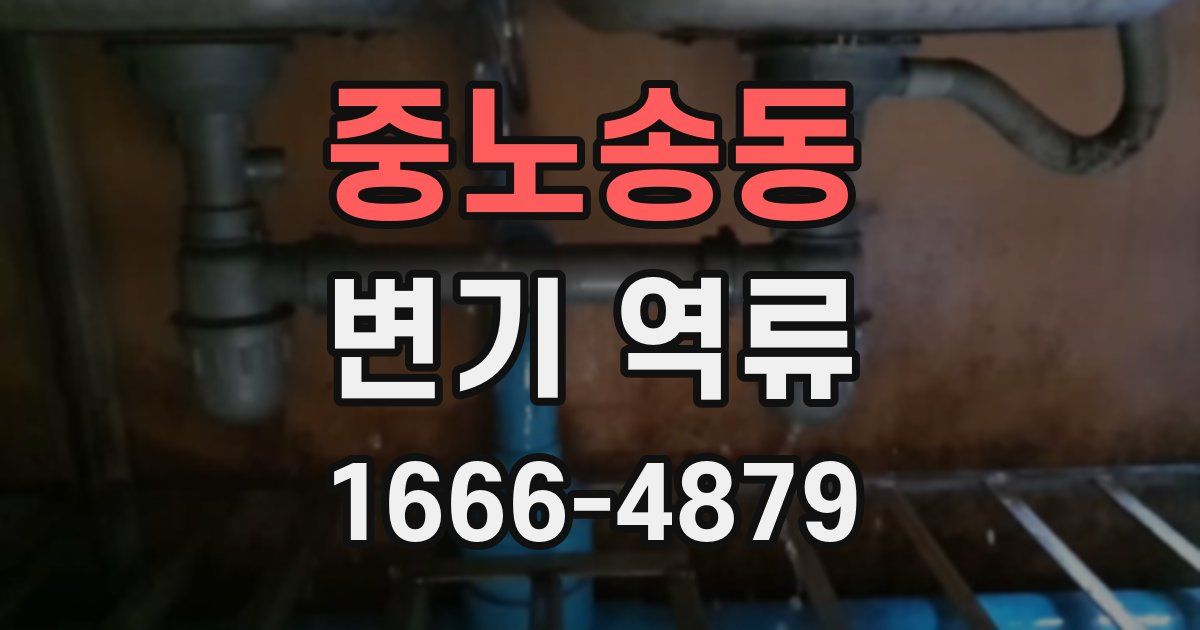 중노송동 변기 역류