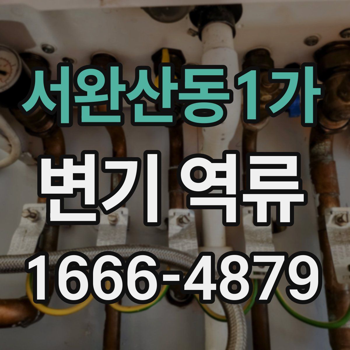서완산동1가 변기 역류
