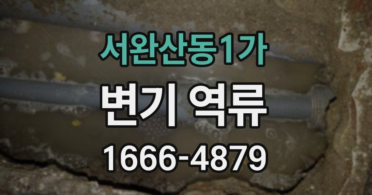 서완산동1가 변기 역류