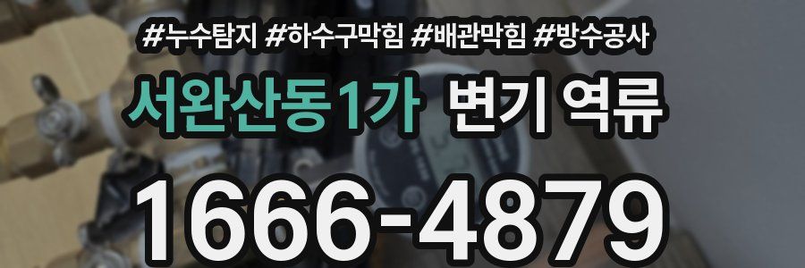 서완산동1가 변기 역류