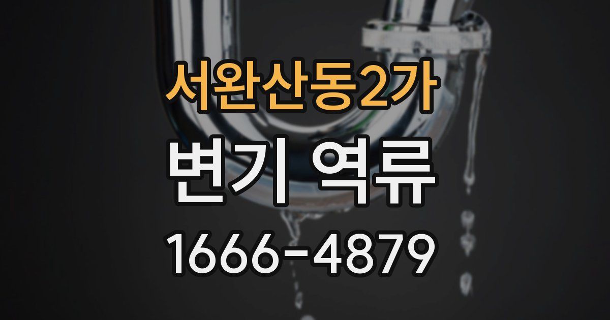 서완산동2가 변기 역류