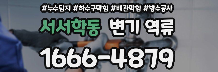 서서학동 변기 역류