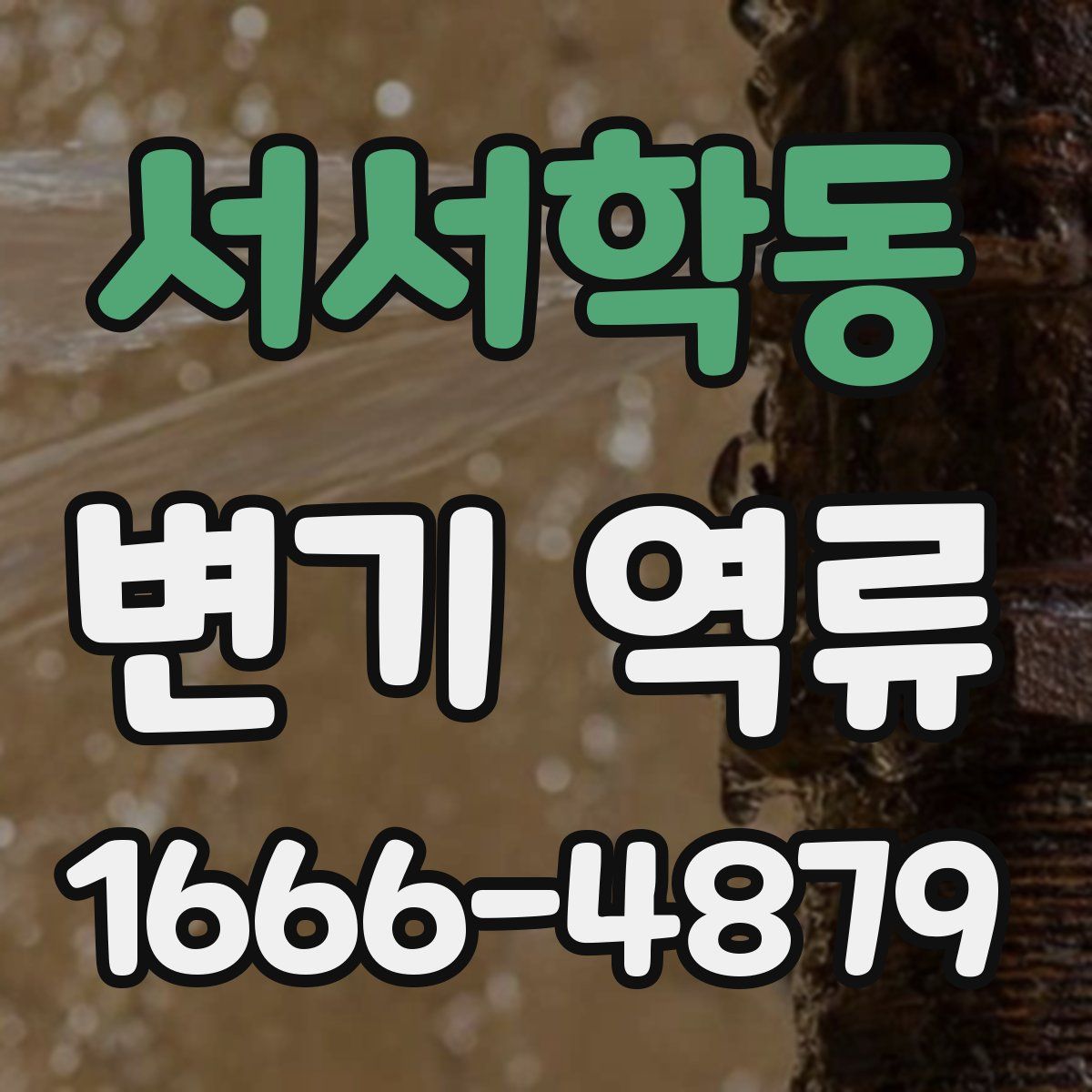 서서학동 변기 역류