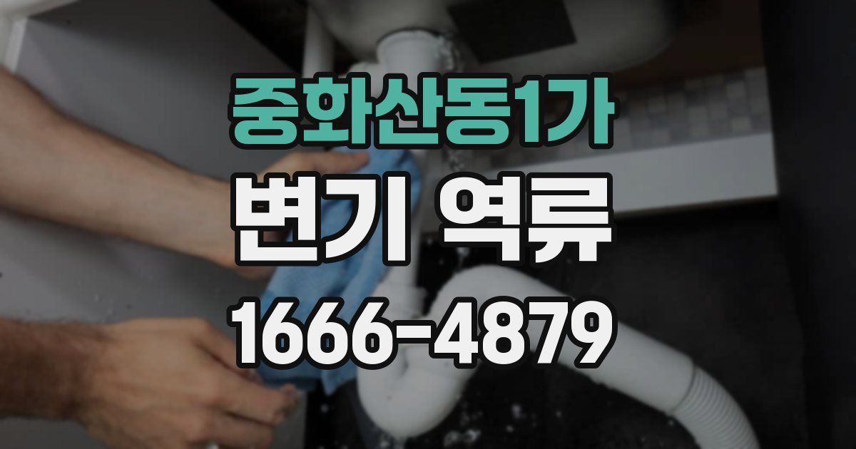 중화산동1가 변기 역류