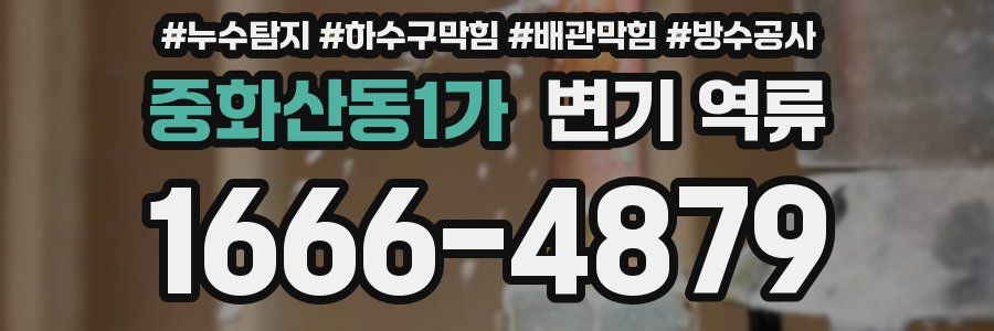 중화산동1가 변기 역류