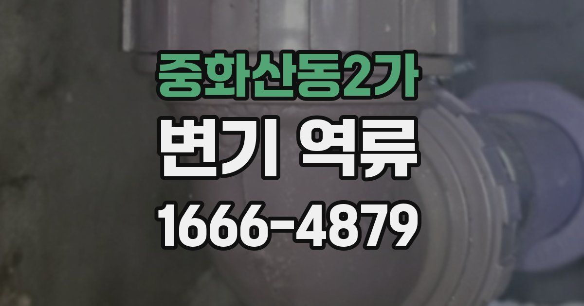 중화산동2가 변기 역류