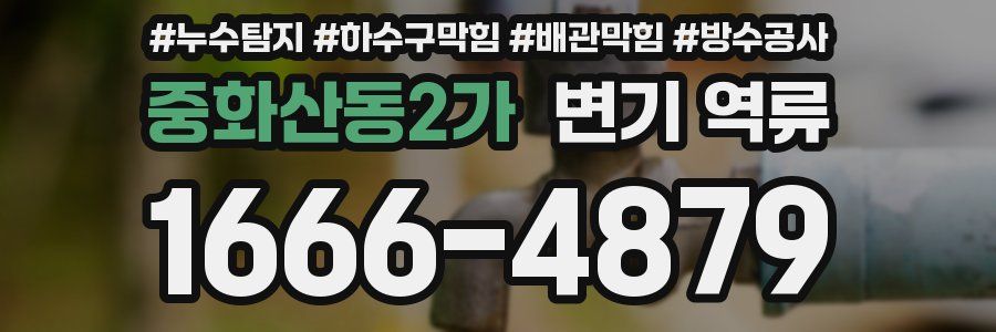 중화산동2가 변기 역류