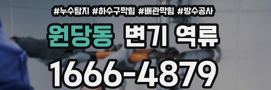 원당동 변기 역류