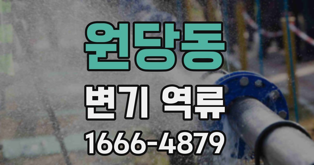 원당동 변기 역류