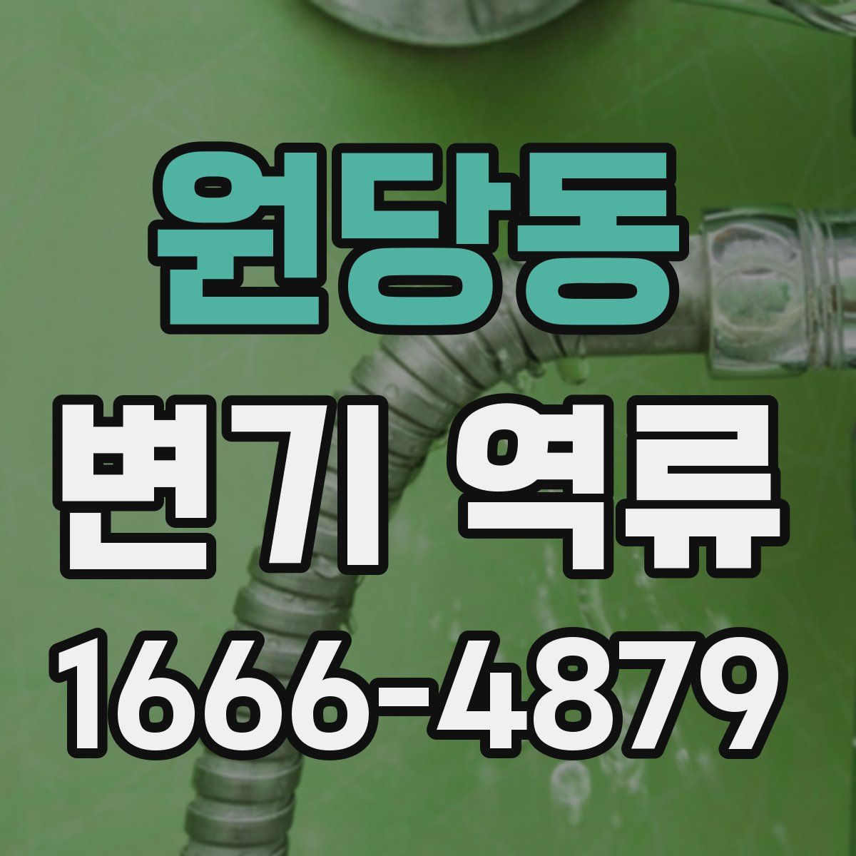 원당동 변기 역류