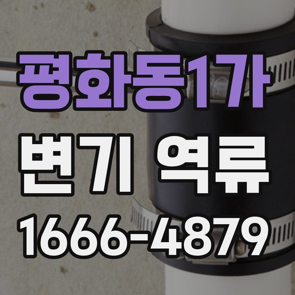 평화동1가 변기 역류