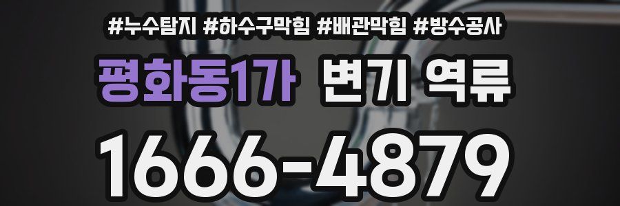 평화동1가 변기 역류