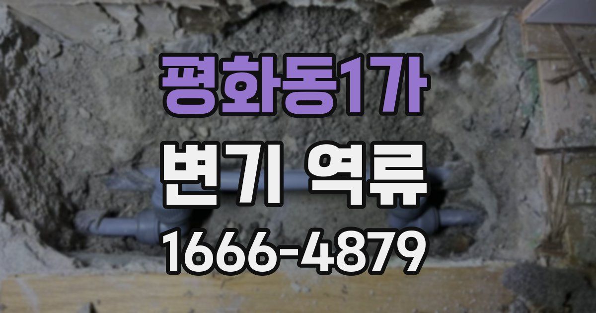 평화동1가 변기 역류