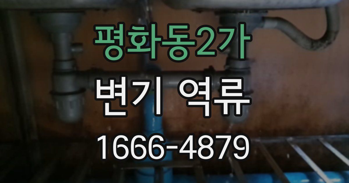 평화동2가 변기 역류