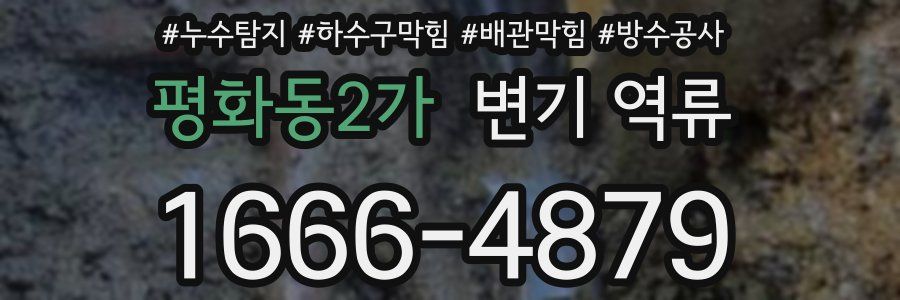평화동2가 변기 역류