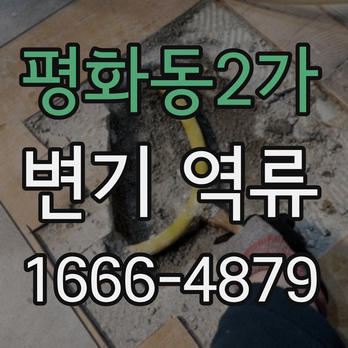 평화동2가 변기 역류