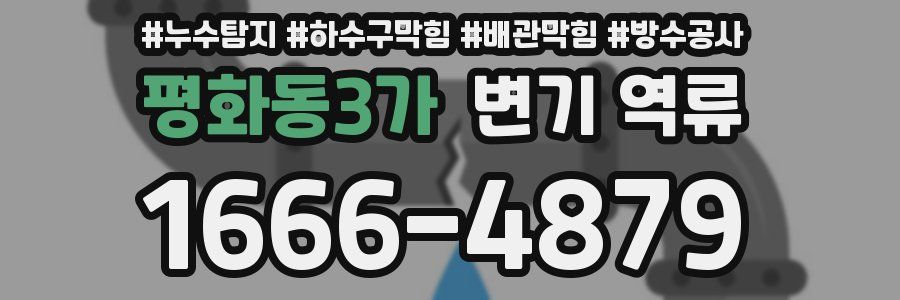 평화동3가 변기 역류