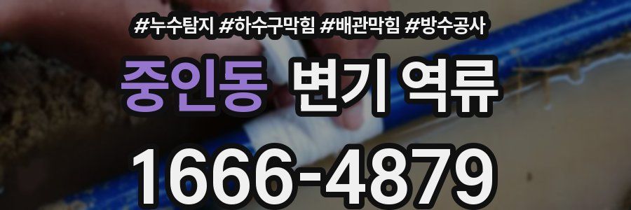 중인동 변기 역류