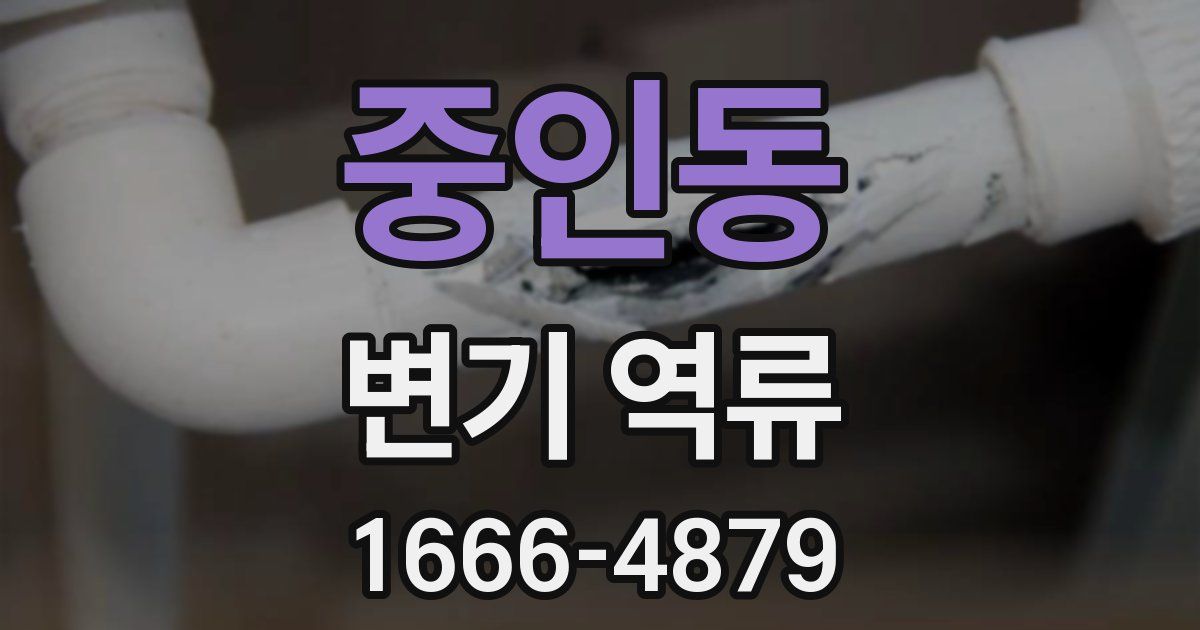중인동 변기 역류