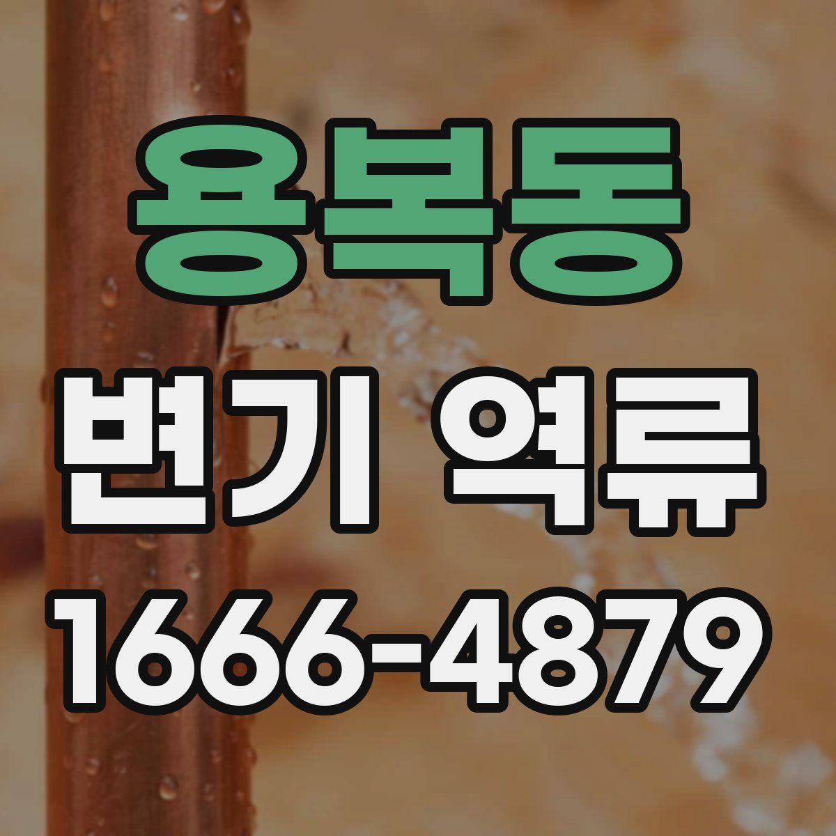 용복동 변기 역류