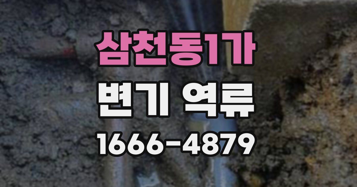 삼천동1가 변기 역류