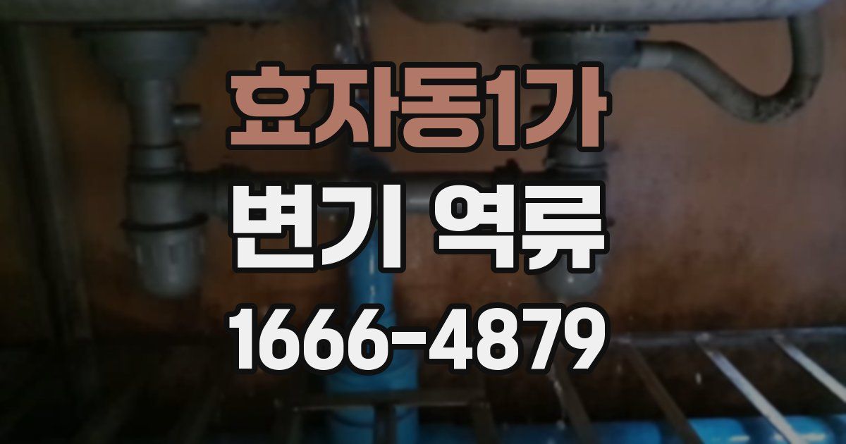 효자동1가 변기 역류