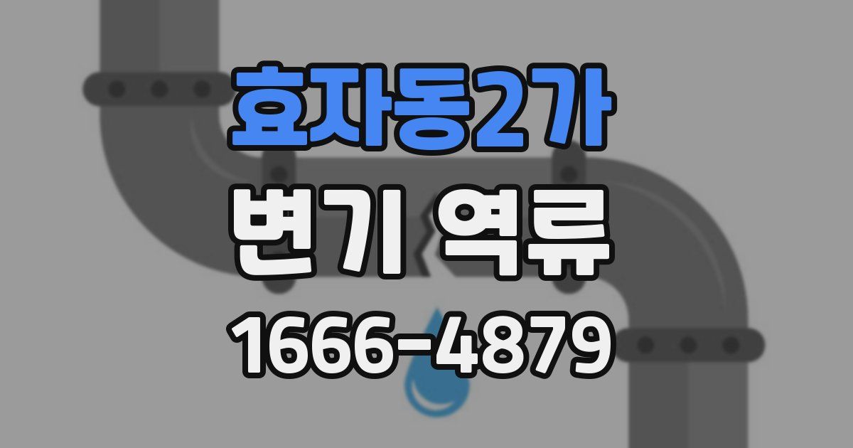 효자동2가 변기 역류