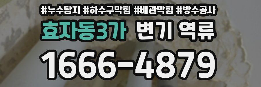 효자동3가 변기 역류